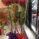 因为有缘才相见