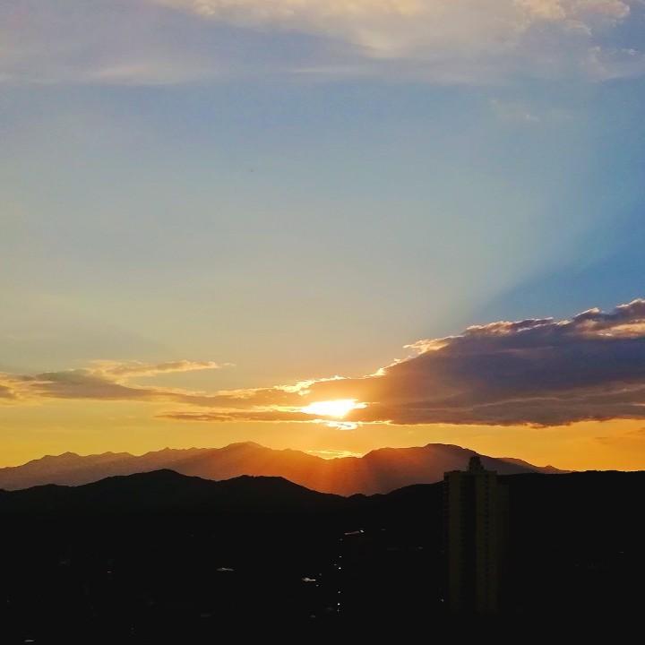 驴小董