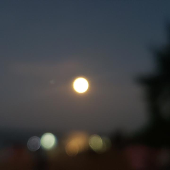 雪碧177711058