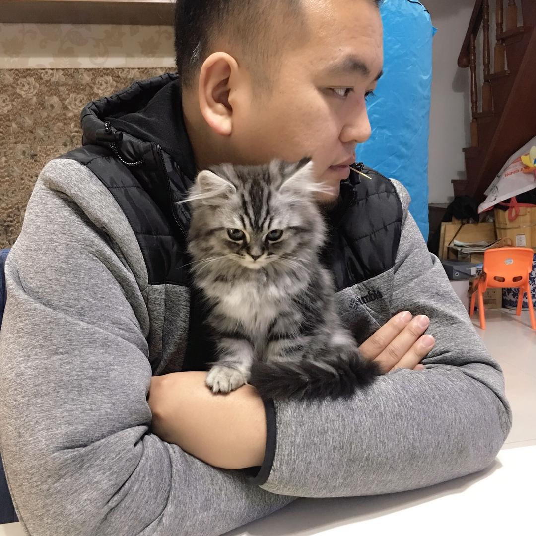胖猫叔玩植物