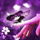 指尖下の忧伤🌟