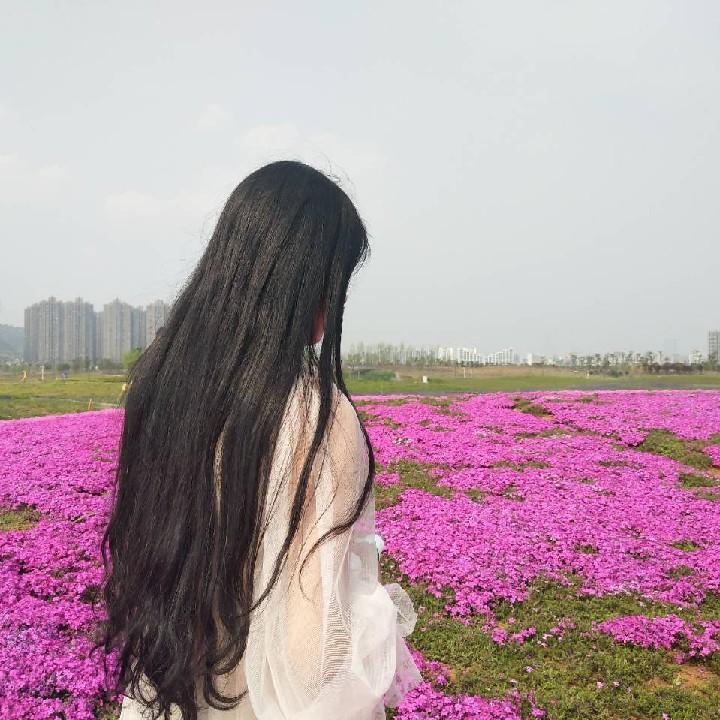 阿里里丽