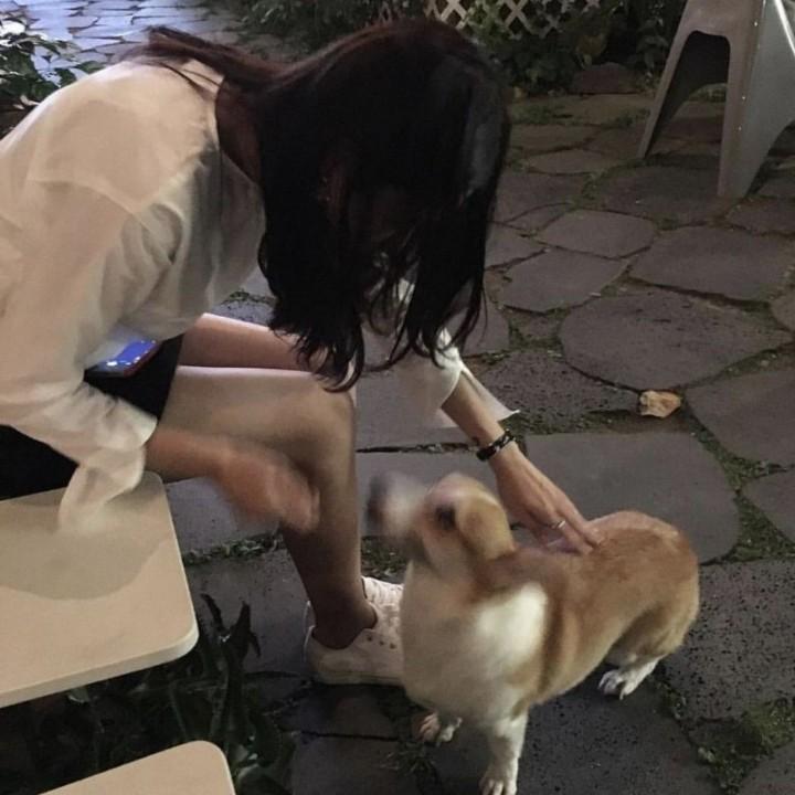 桃桃