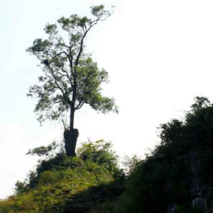 平远乡愁