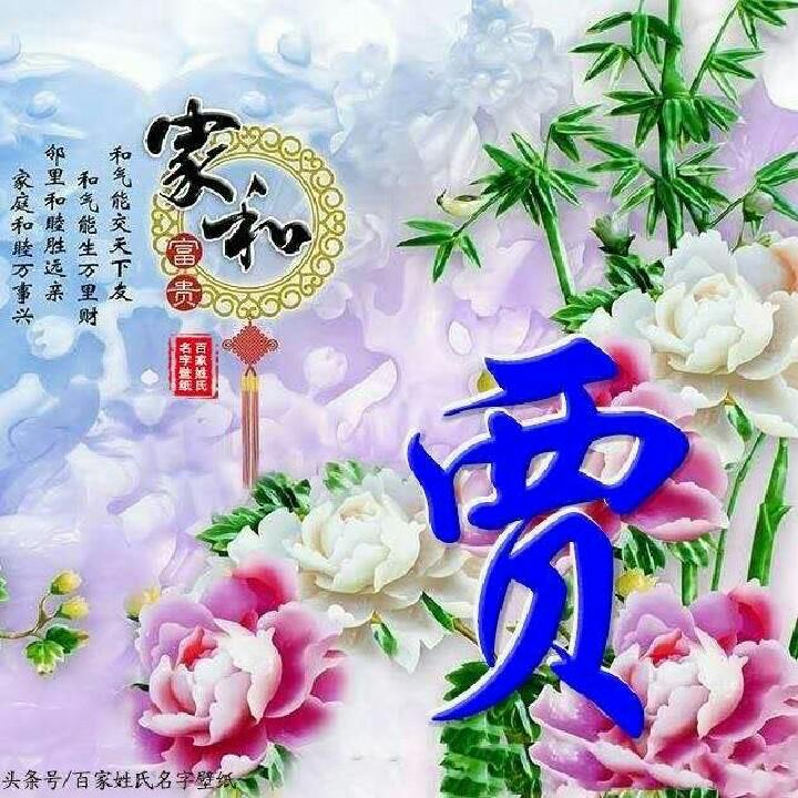 随梦而飞