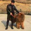 黑G（小马哥）👍🏻