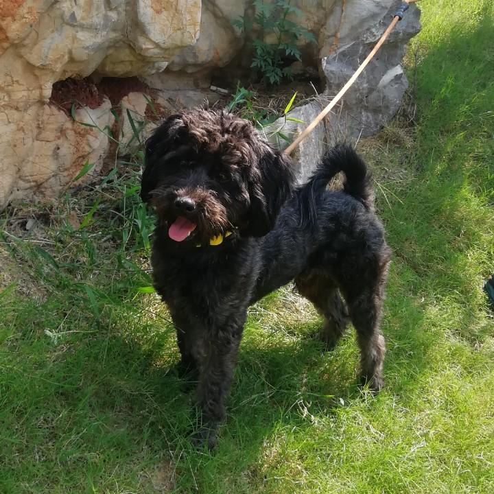 阜阳市博乐琴行