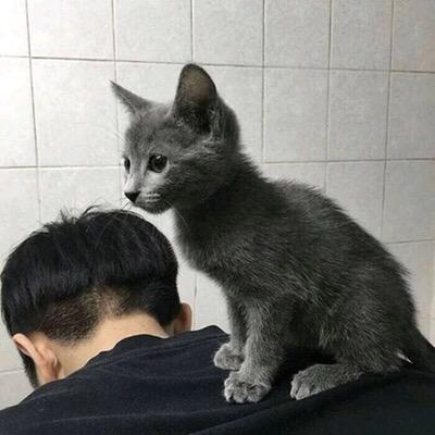 官方微信