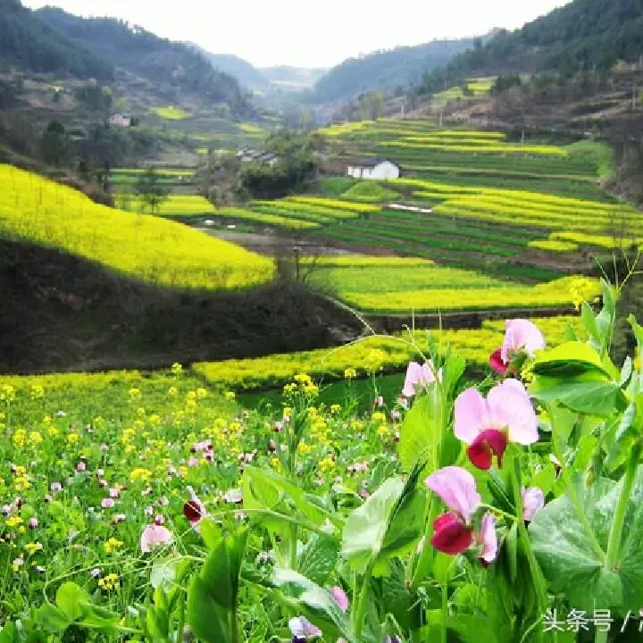 蓝颜（海天梦想，中国力量）