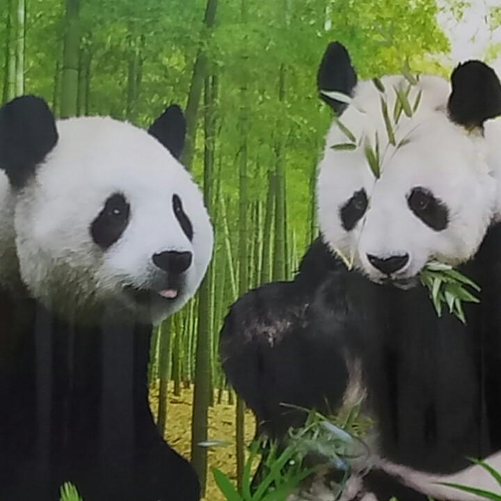 生活如此美好