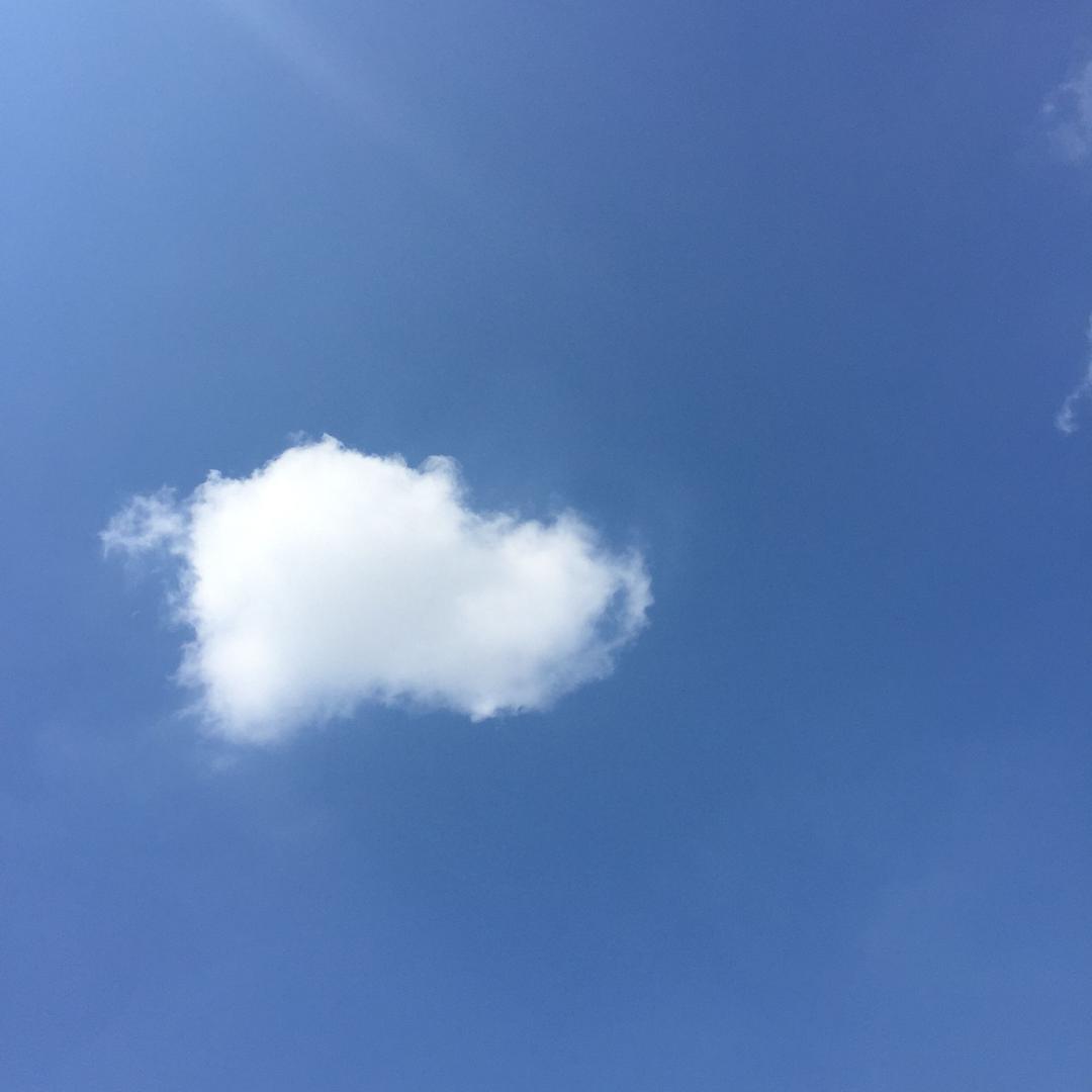 泰爱你