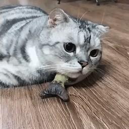 拾玖。