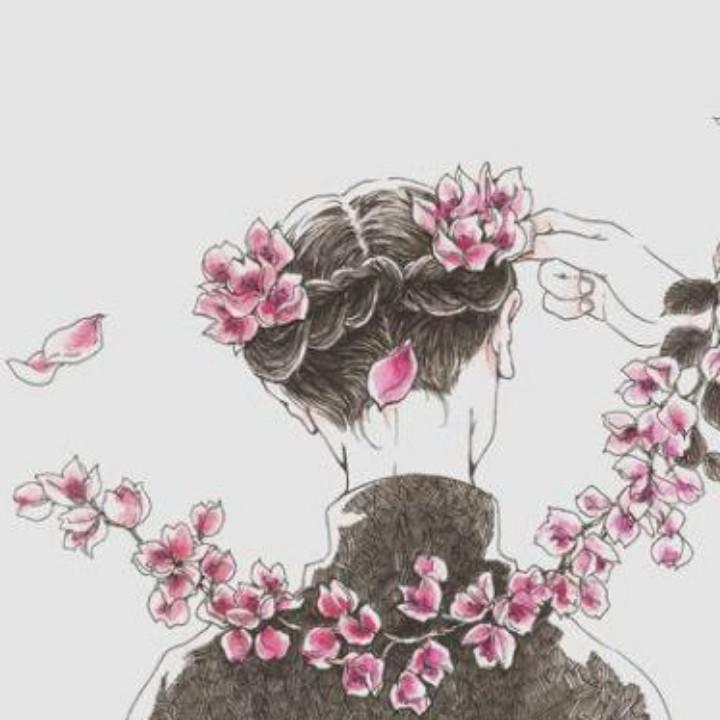 （紫轩北辰）侠义无双网络科技工作室