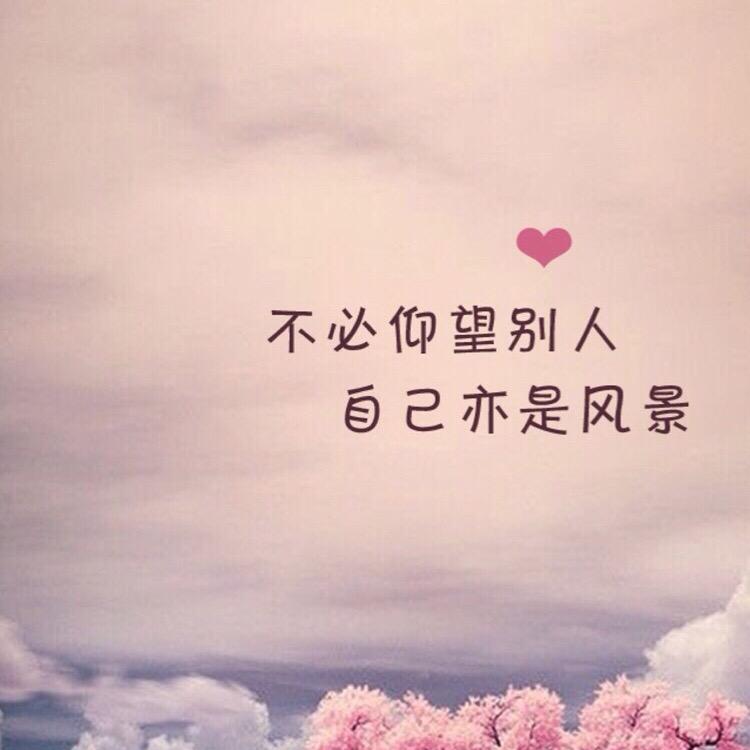 🌸樊樊🌸