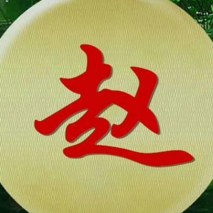 赵/《顺风代驾》