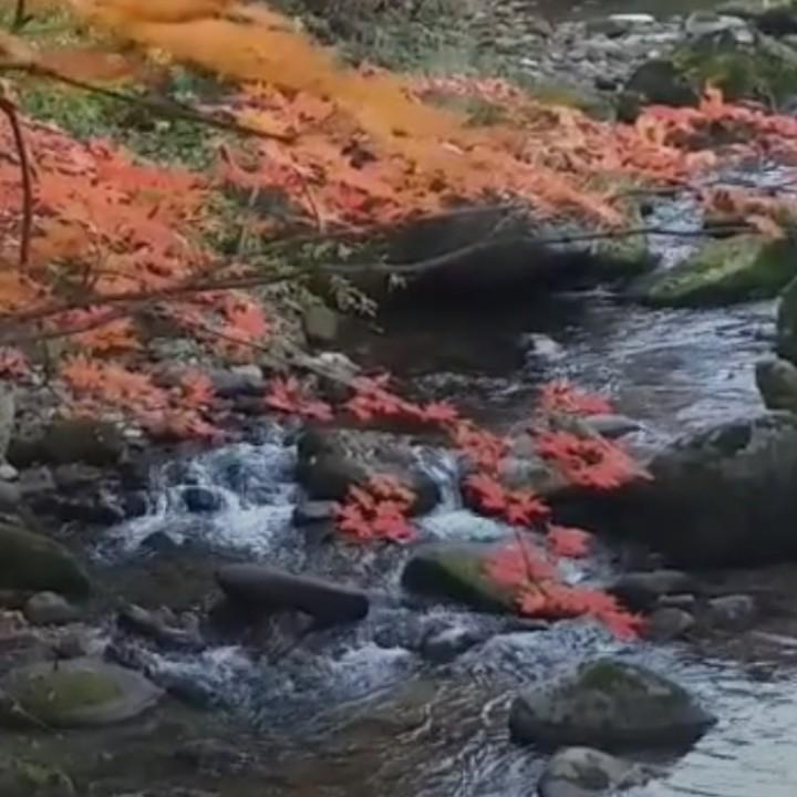 天神