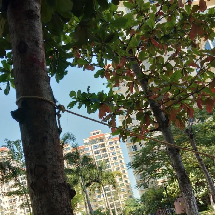 乖乖的，坏坏的丫头。