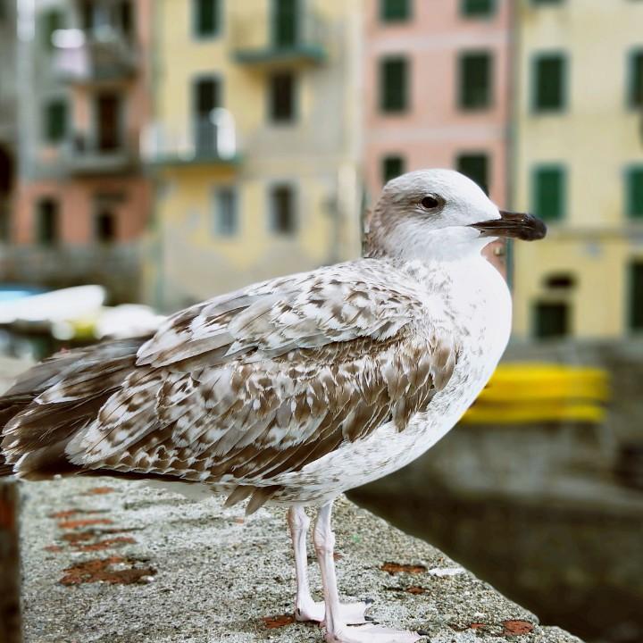 衢州爱尚写字.实用快写