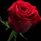 花为媒南市服装城三妹南市服装城26包箱