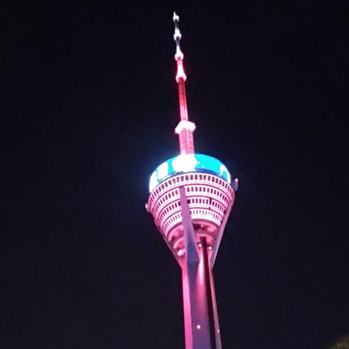 强哥副食店👍