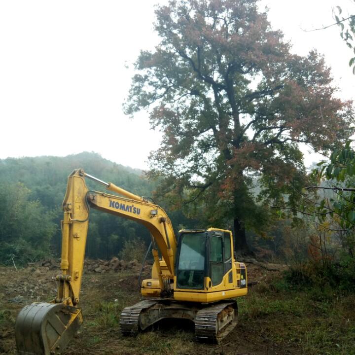 挖机刘生态养殖