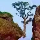 無言