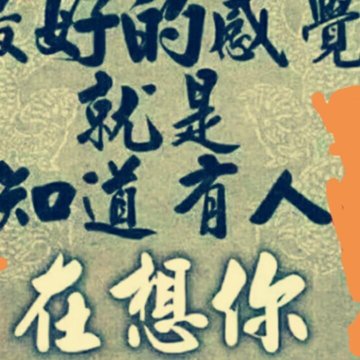 文文哥哥