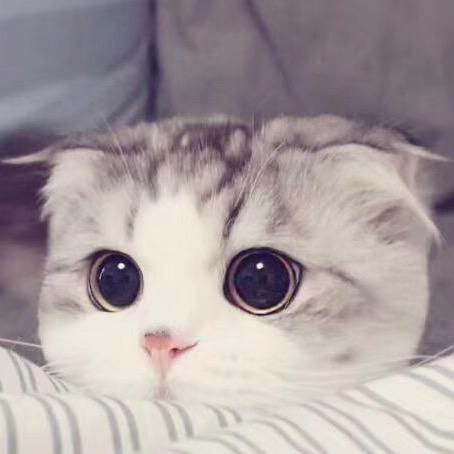 小娟