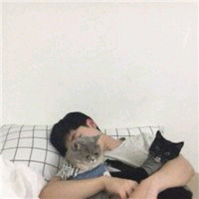 海绵宝宝