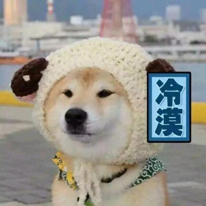 🌈盏盏✔