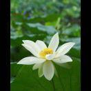 好人一生平安（拒绝私聊）