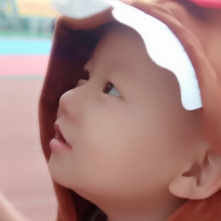 虾扯蛋🍀🍁🍂🍃