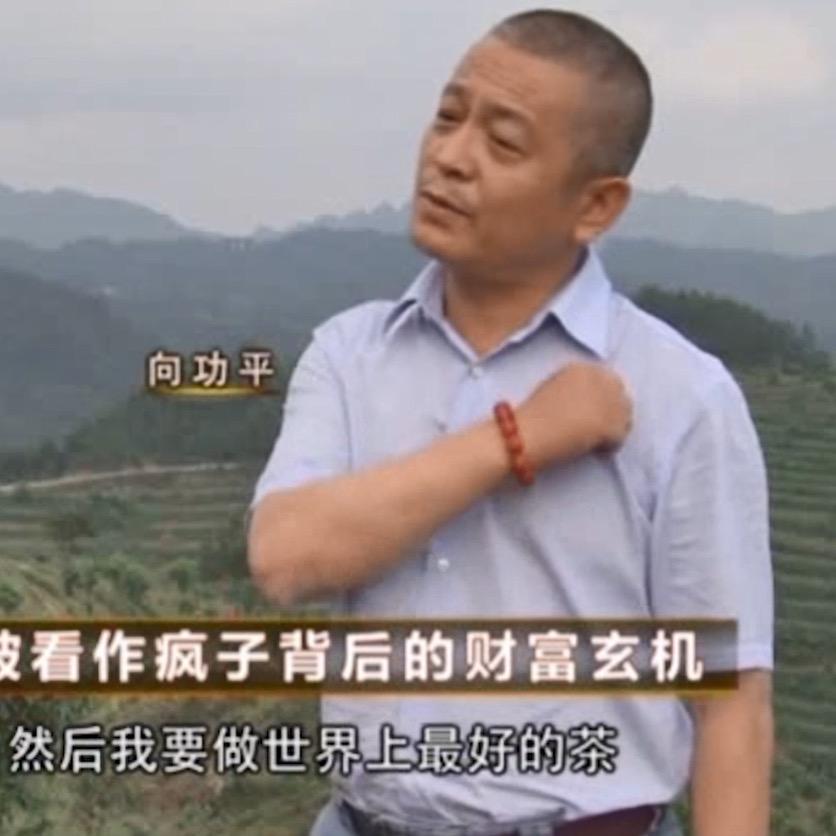 妙古金