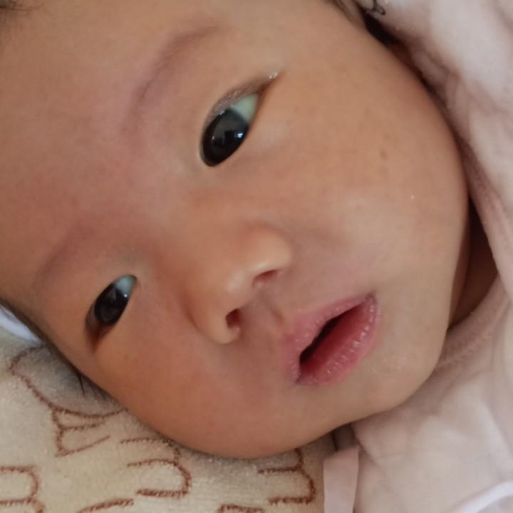 小李子