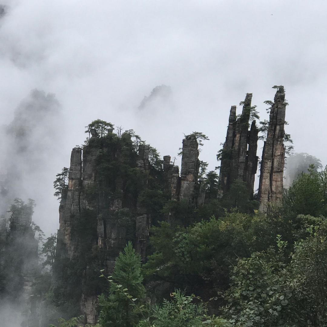 一生有你