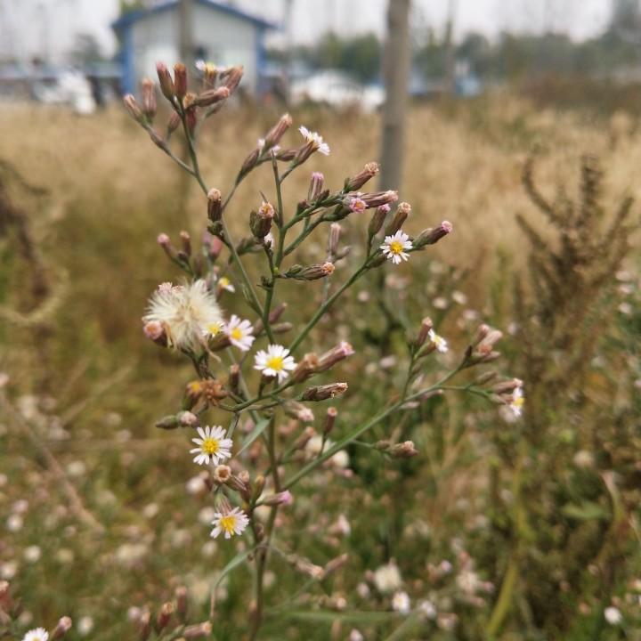 一米阳光