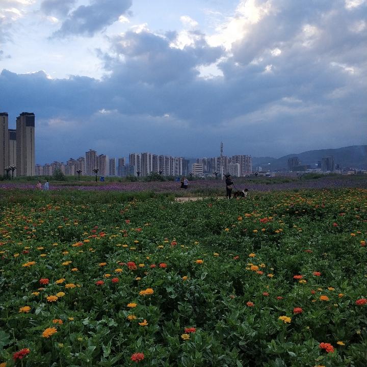 菲桐小可