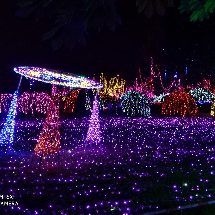最美的相遇