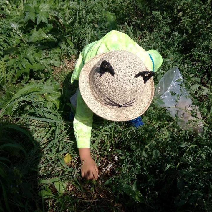 只看不拍的小梦