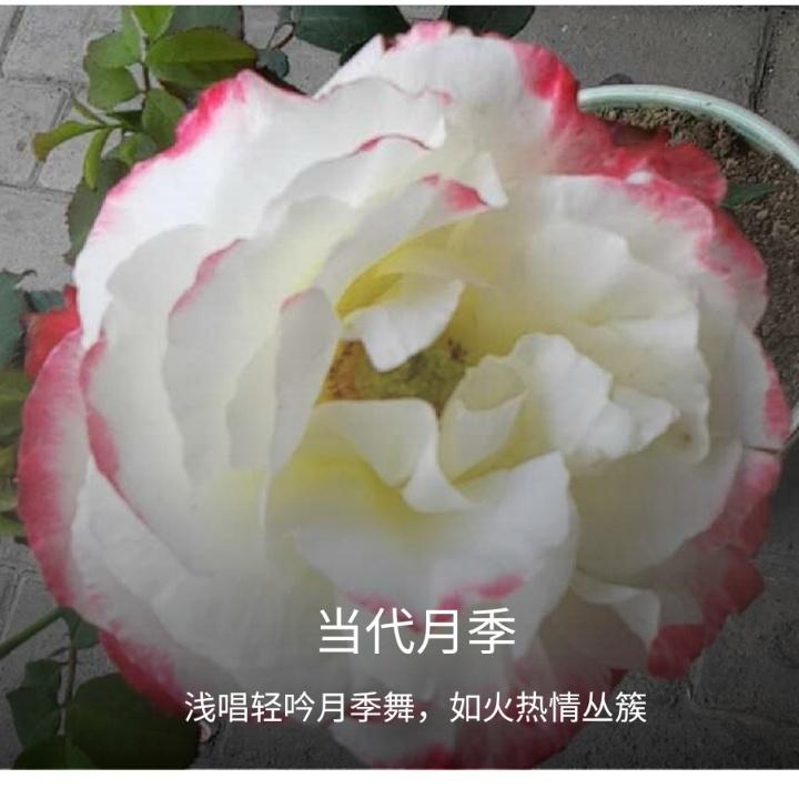 幸福临门 