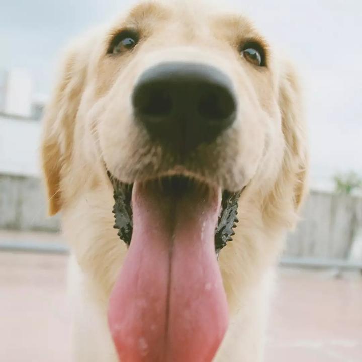 阿飞