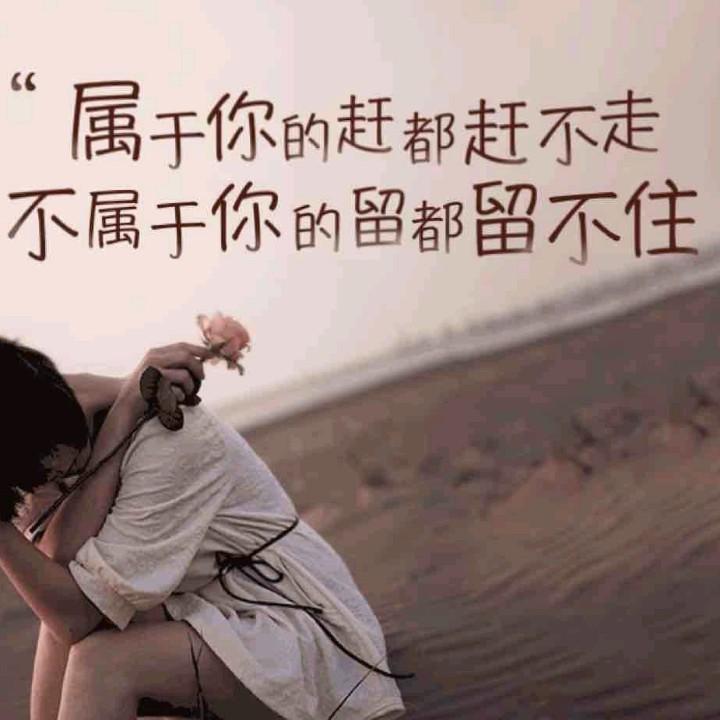 随风