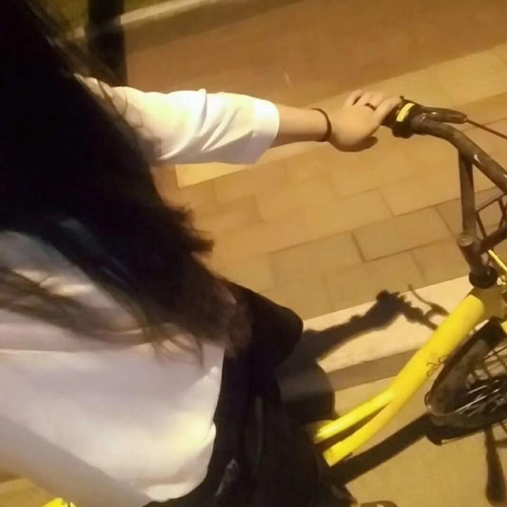 🌴。。。。。。