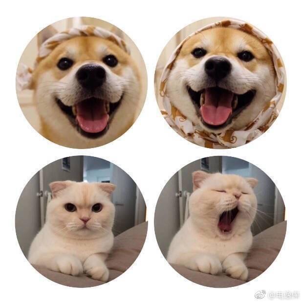 九号床