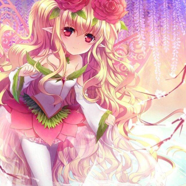 💕晕头转向🌸