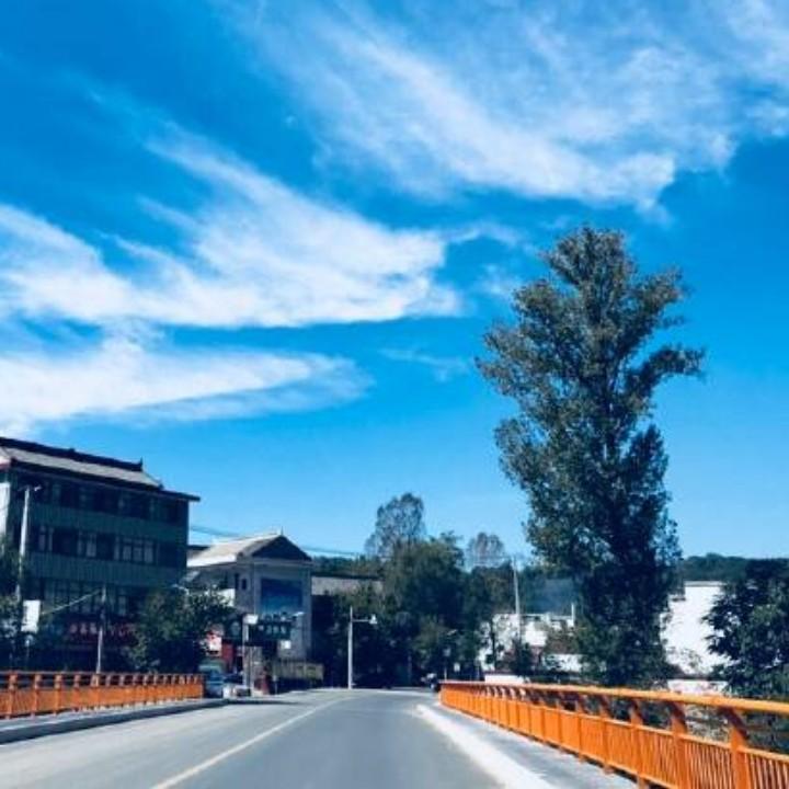 有风自南
