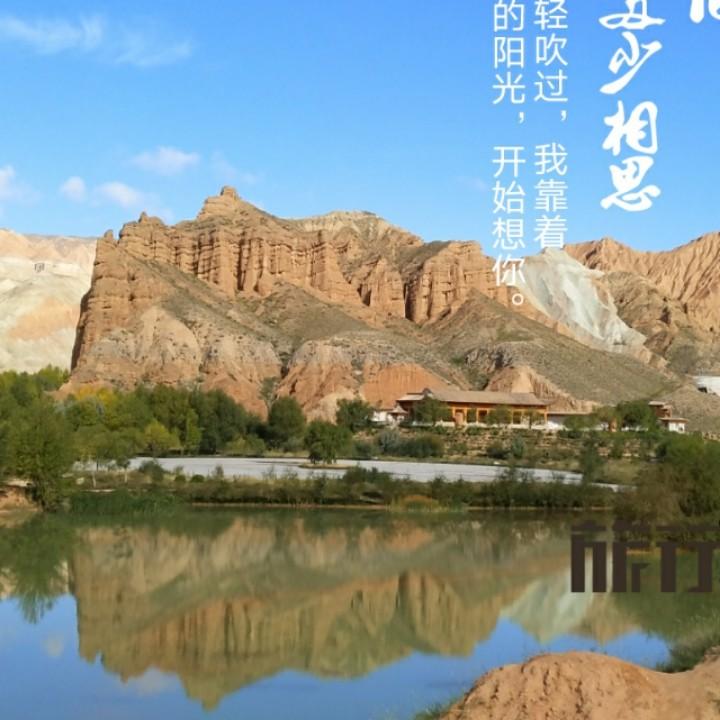 沙漠浪子