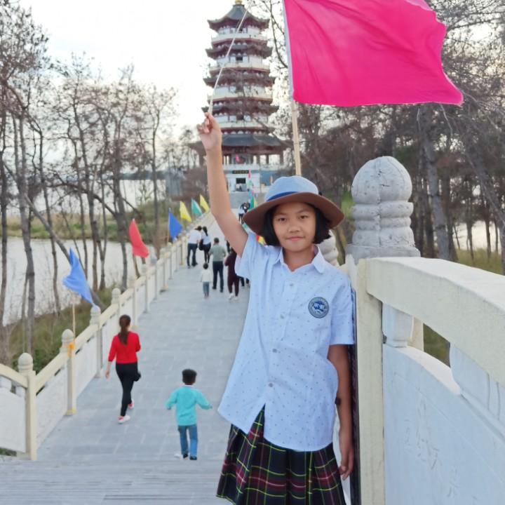 凤凰的泪水你不懂