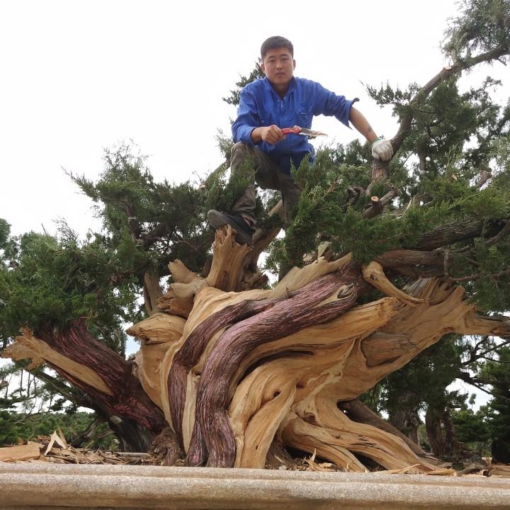 明明