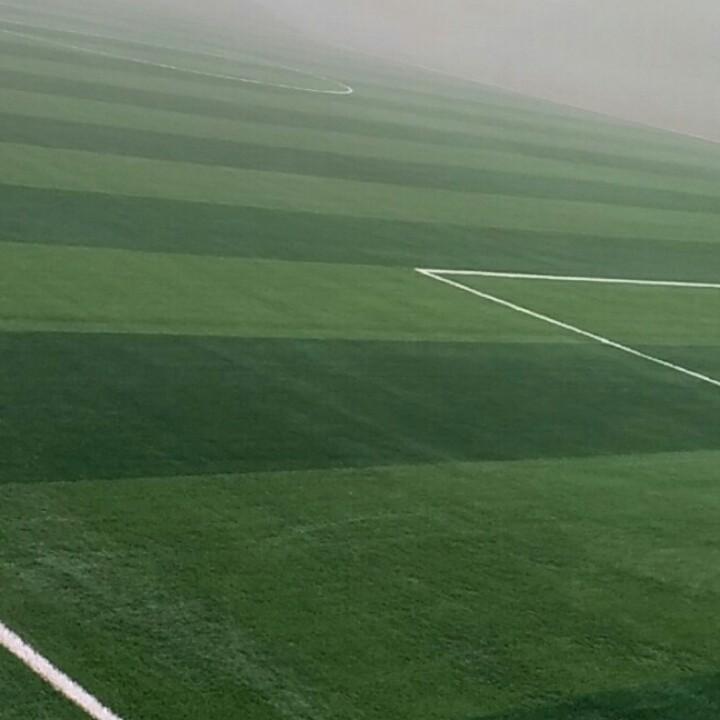 世界杯